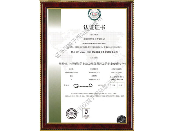 職業健康體系證書